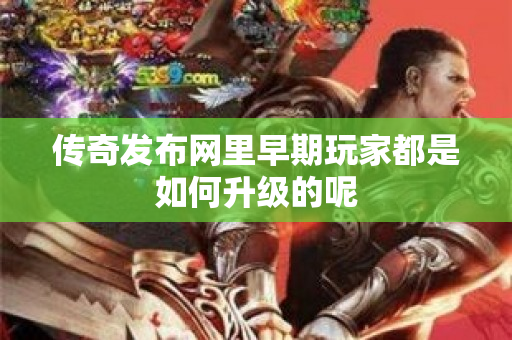 传奇发布网里早期玩家都是如何升级的呢-图1