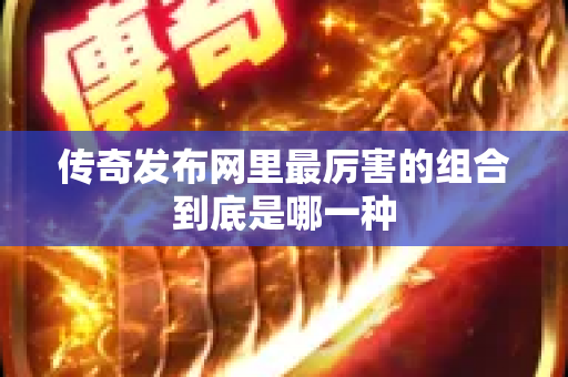传奇发布网里最厉害的组合到底是哪一种-图1