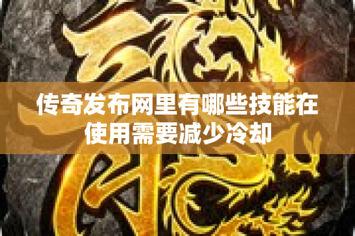 传奇发布网里有哪些技能在使用需要减少冷却-图1
