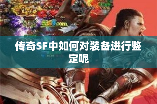 传奇SF中如何对装备进行鉴定呢-图1