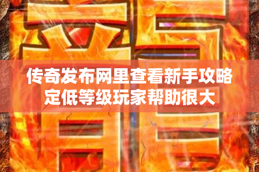 传奇发布网里查看新手攻略定低等级玩家帮助很大-图1