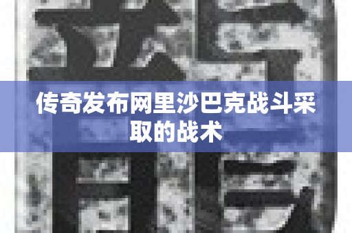 传奇发布网里沙巴克战斗采取的战术-图1