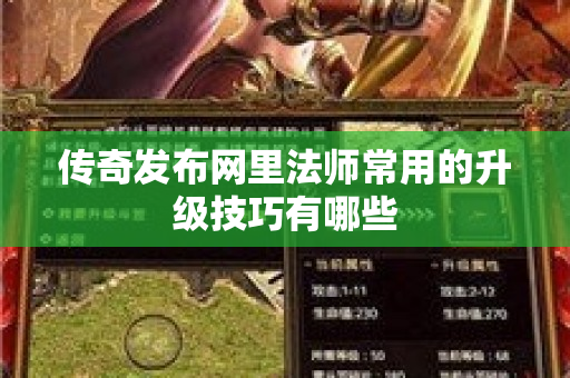 传奇发布网里法师常用的升级技巧有哪些-图1