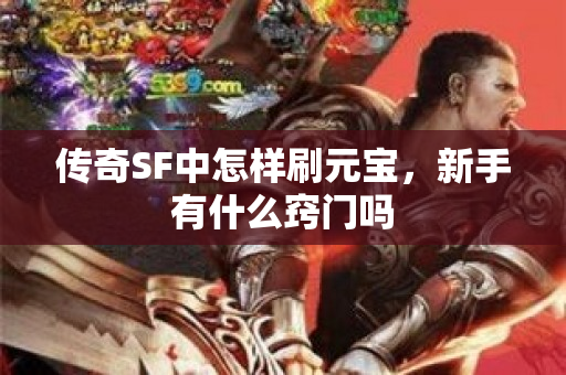 传奇SF中怎样刷元宝，新手有什么窍门吗-图1