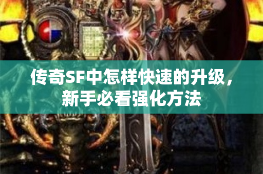 传奇SF中怎样快速的升级，新手必看强化方法