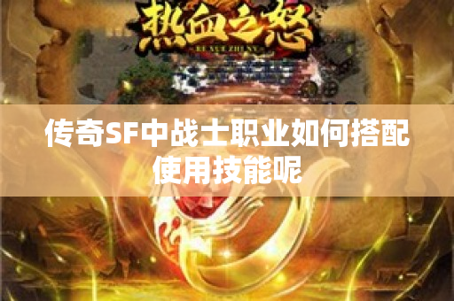 传奇SF中战士职业如何搭配使用技能呢-图1