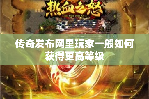 传奇发布网里玩家一般如何获得更高等级-图1