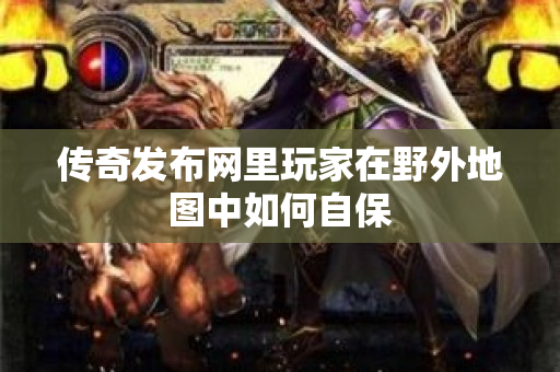 传奇发布网里玩家在野外地图中如何自保-图1
