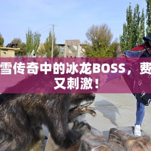 冰雪传奇中的冰龙BOSS，费钱又刺激！