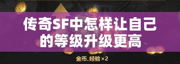 传奇SF中怎样让自己的等级升级更高