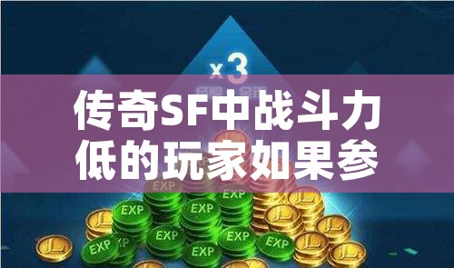 传奇SF中战斗力低的玩家如果参加胜者为王