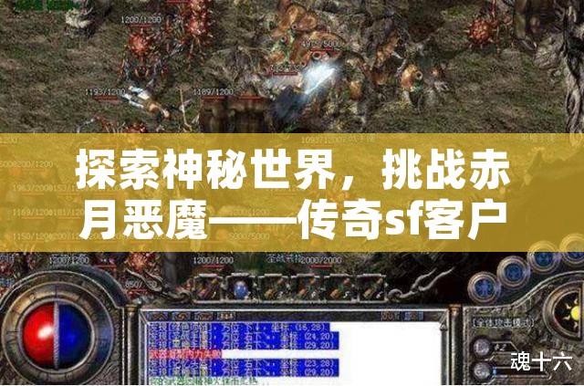 探索神秘世界，挑战赤月恶魔——传奇sf客户端