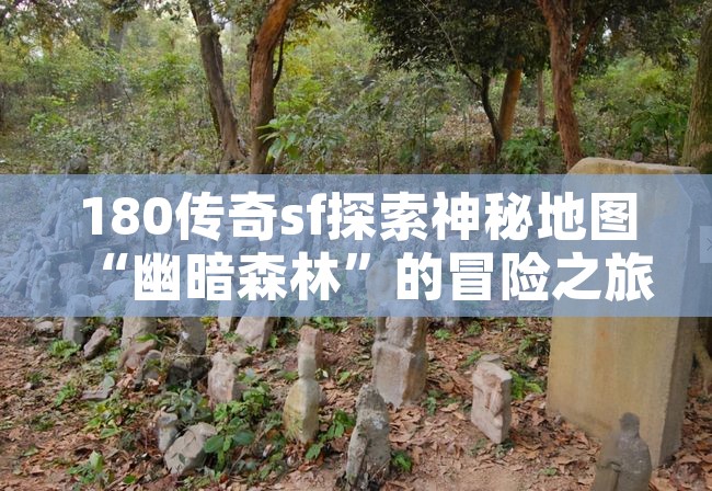 180传奇sf探索神秘地图“幽暗森林”的冒险之旅